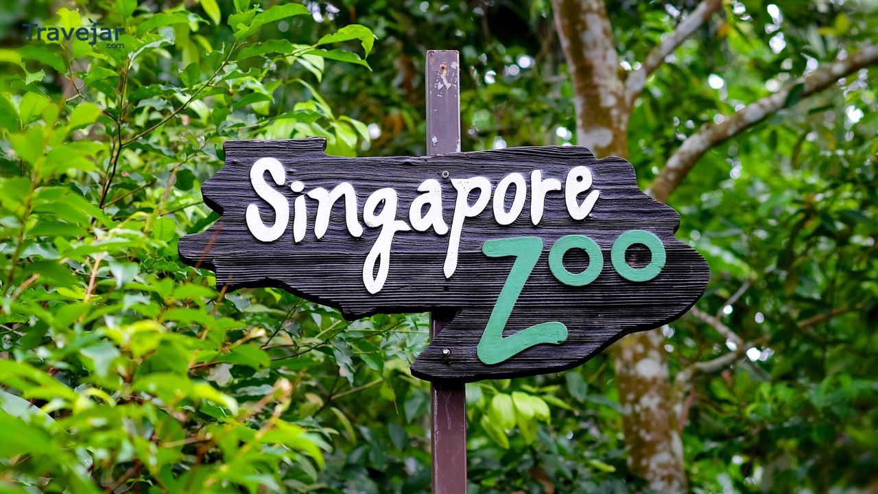 Singapore Zoo Tickets Online: Your Ultimate Guide To A Seamless Experience